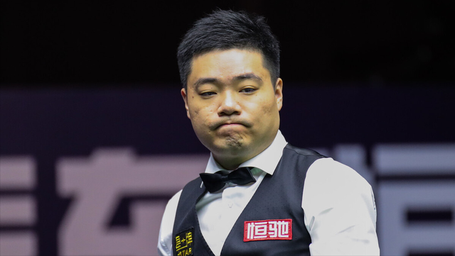 他们不仅提 他们不仅提