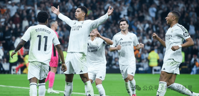 结论性要点 结论性要点